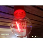 Segula Classic Line | E27 | 2W | Peer - filament-ledlamp ROOD helder 2 filament leds | lichtbeleving 25 Watt